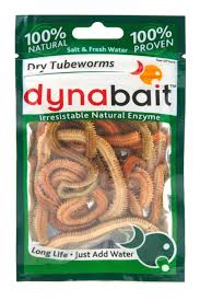 Морской червь Dry Tubeworms